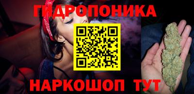 индика Кимры